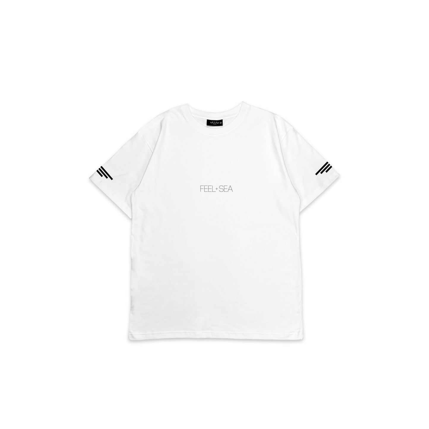 FS_BT_012