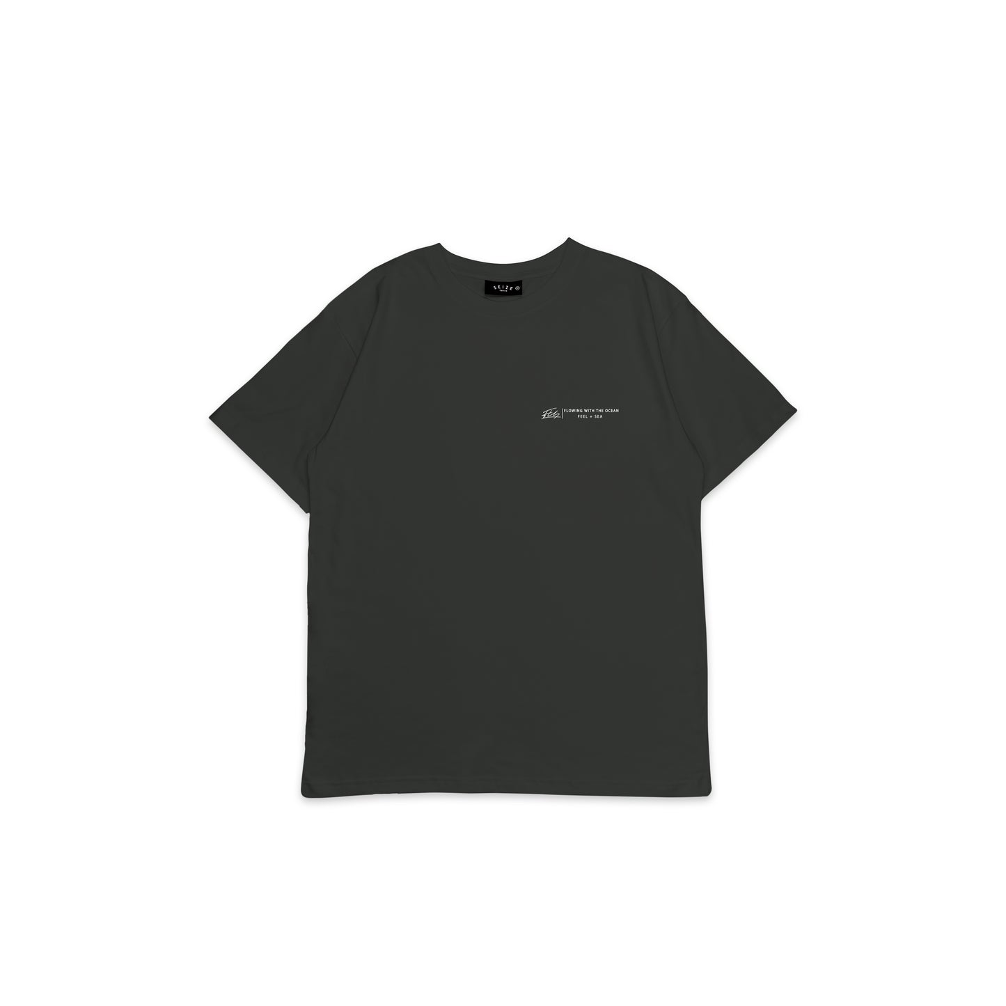 FS_BT_033