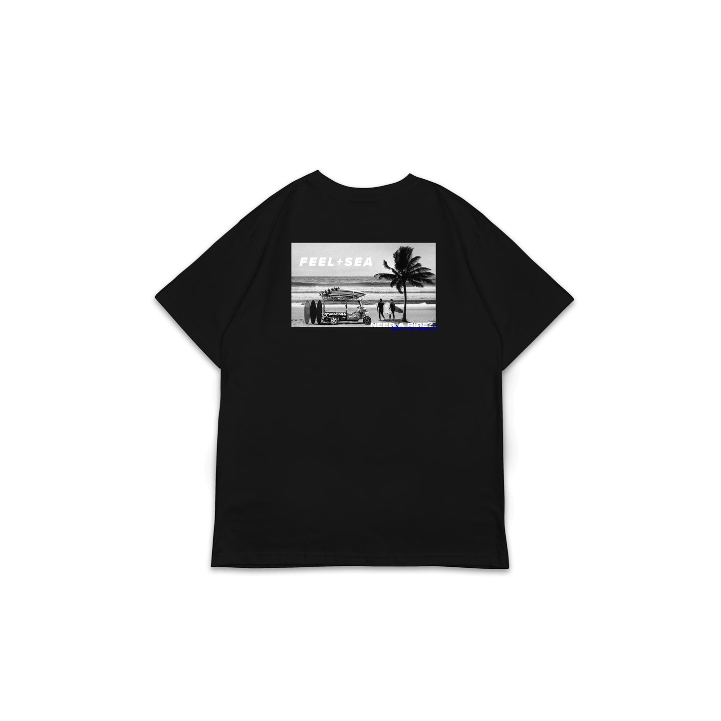 FS_BT_036