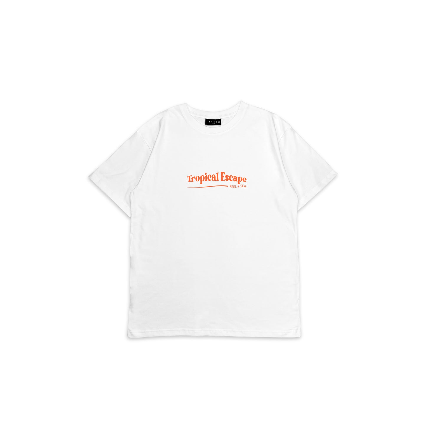 FS_BT_037