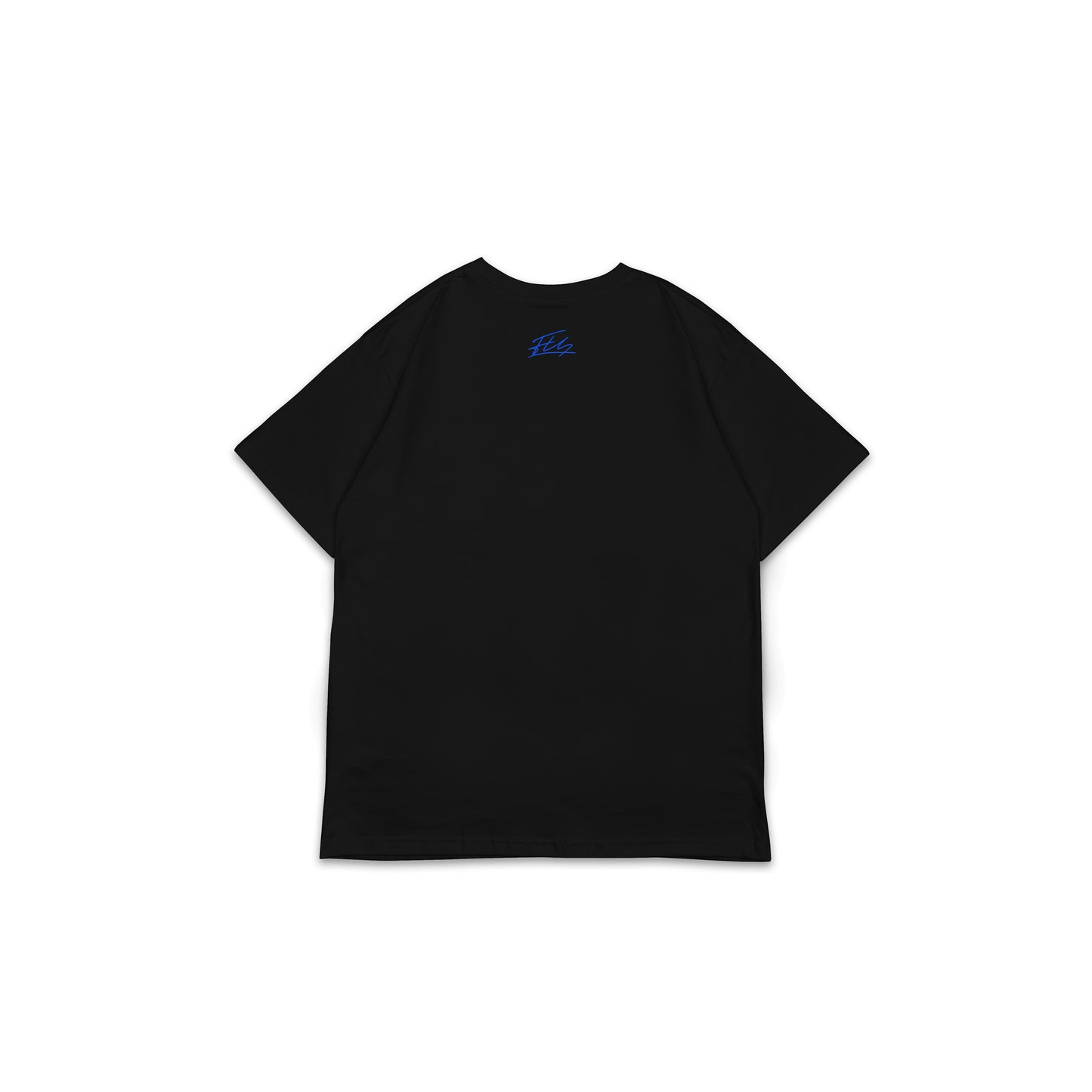 FS_BT_042