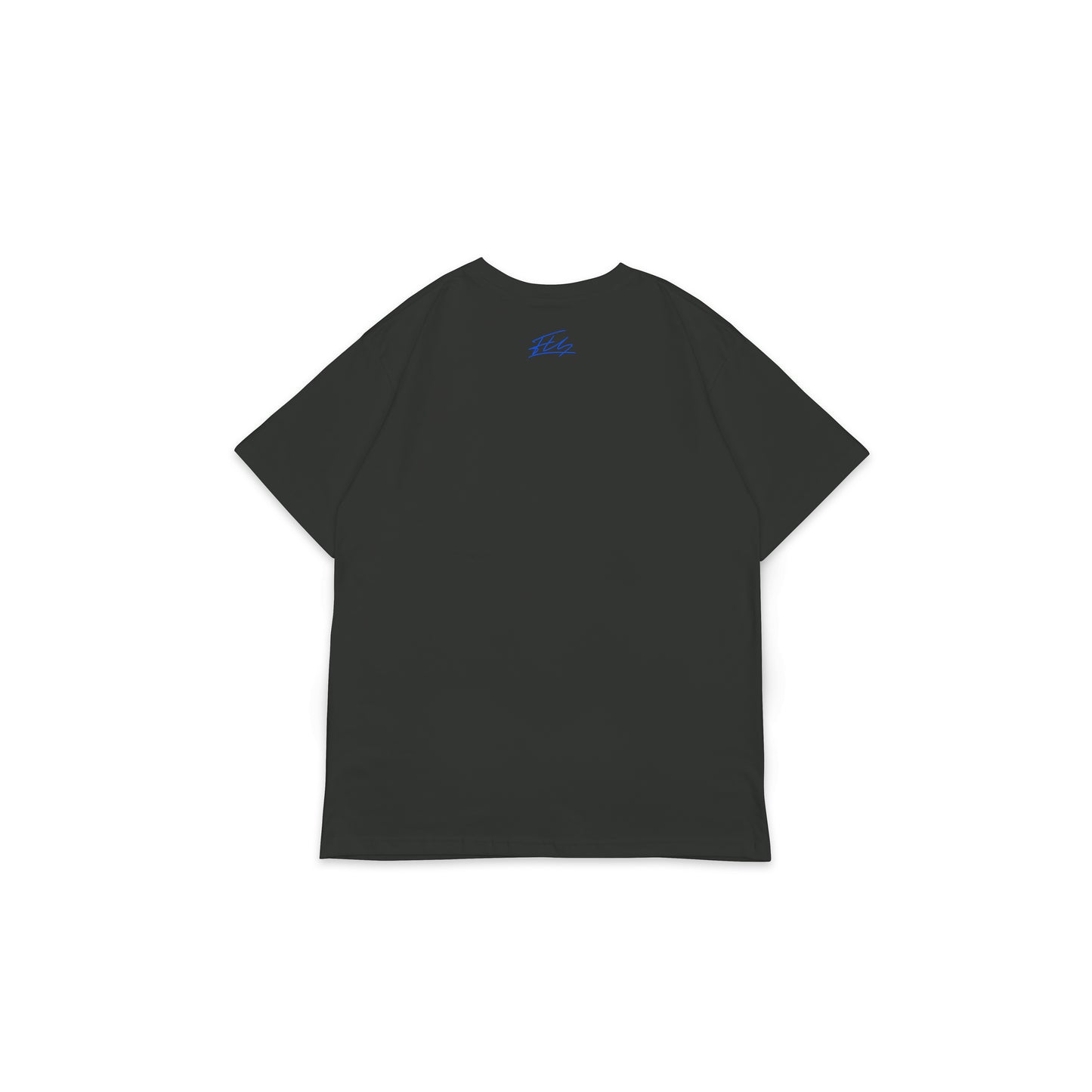 FS_BT_042