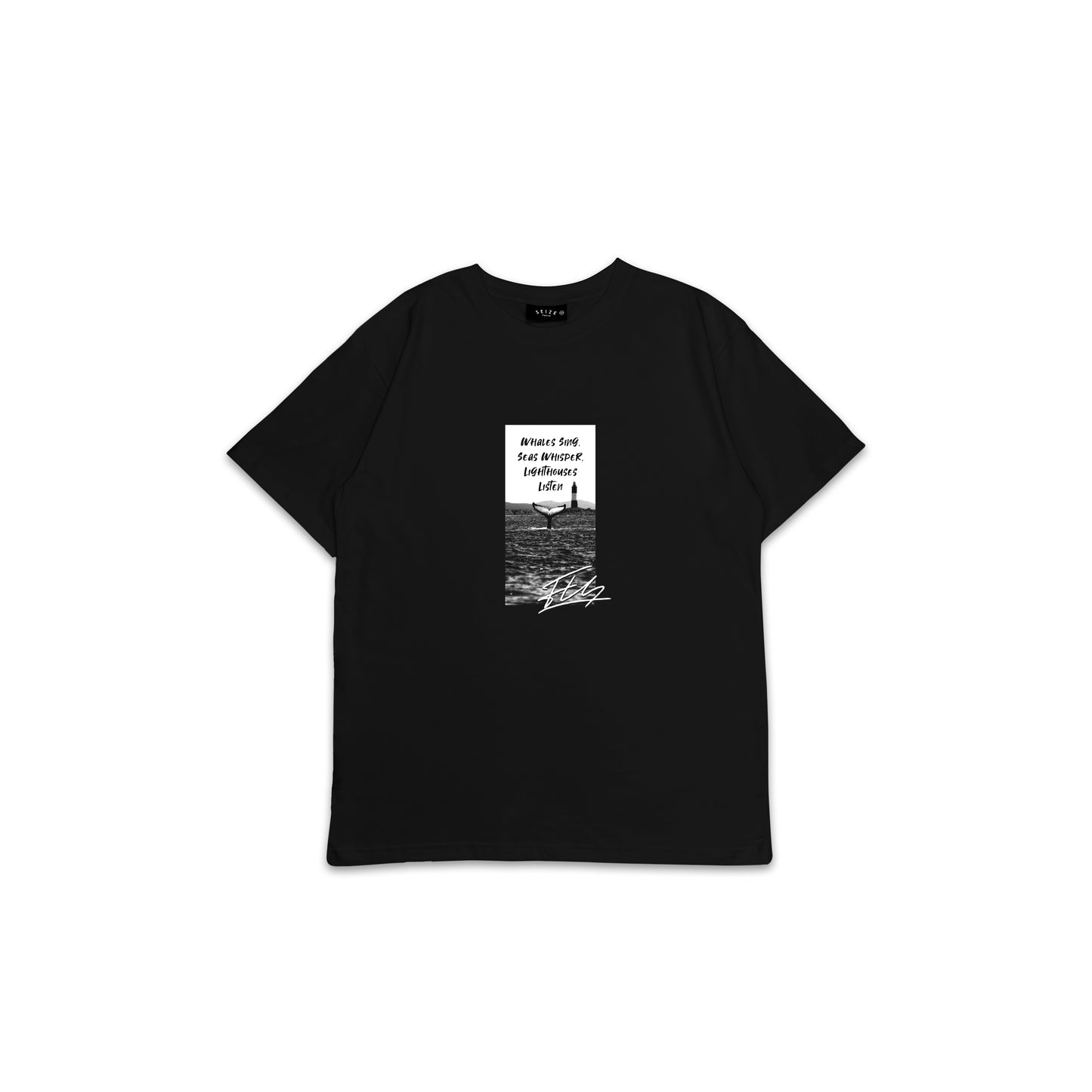 FS_BT_043