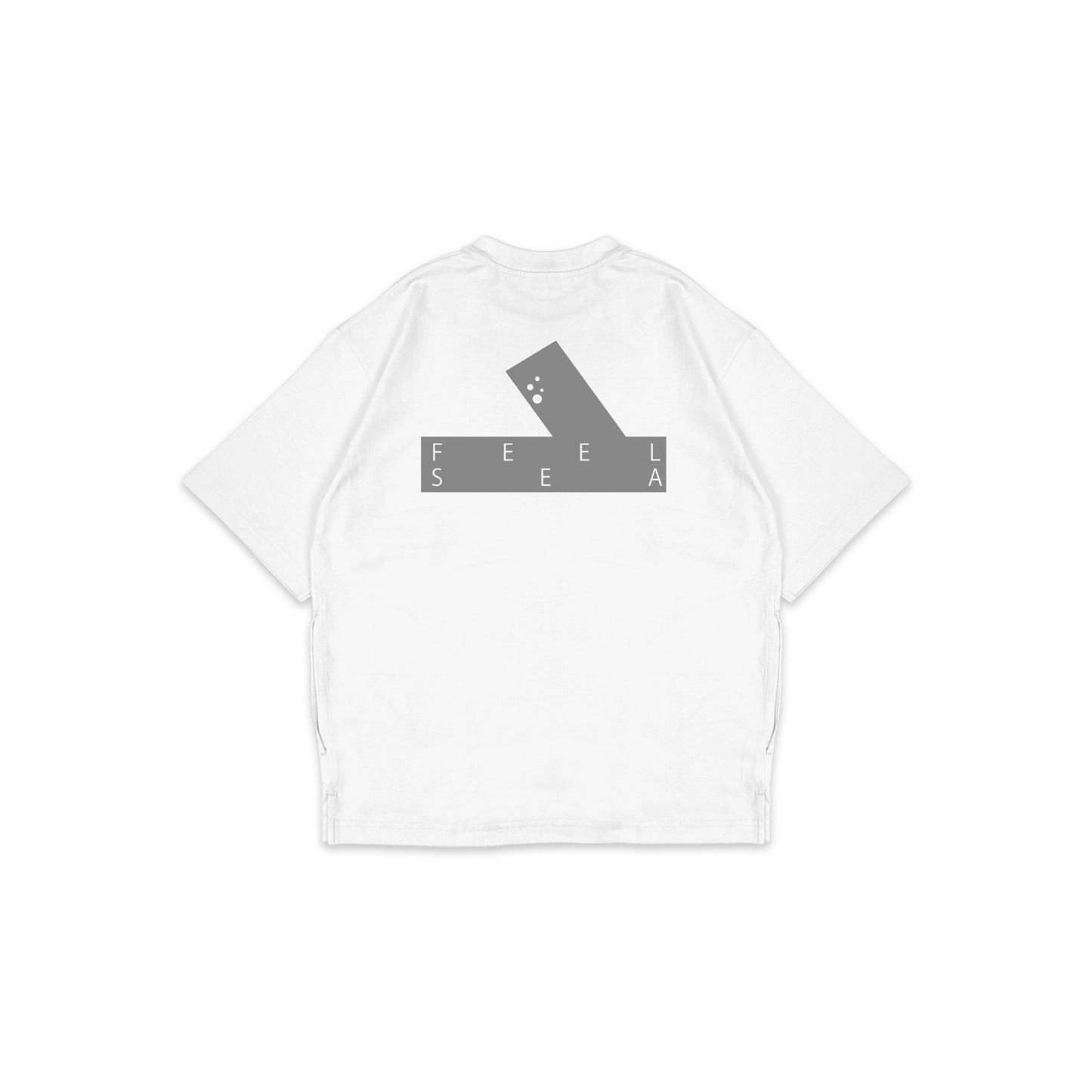 FS_OSP_003