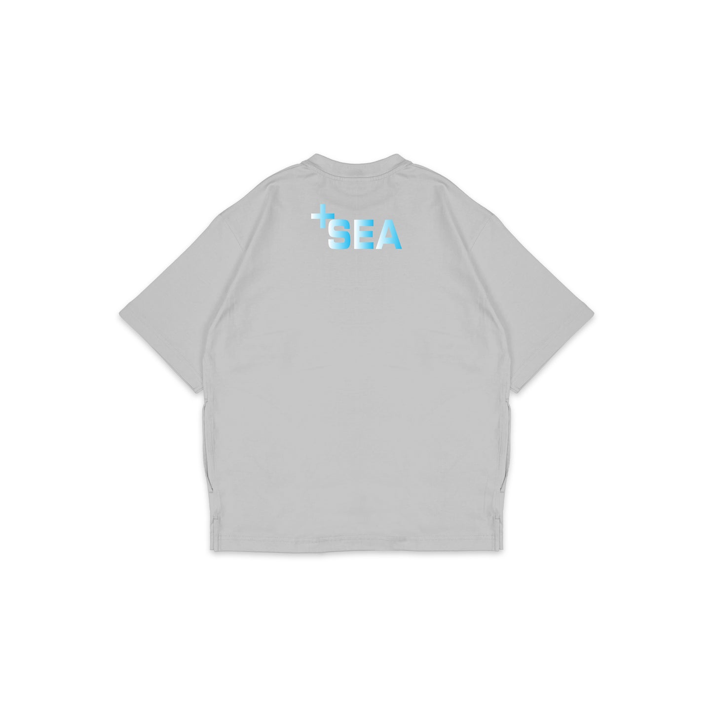 FS_OSP_004