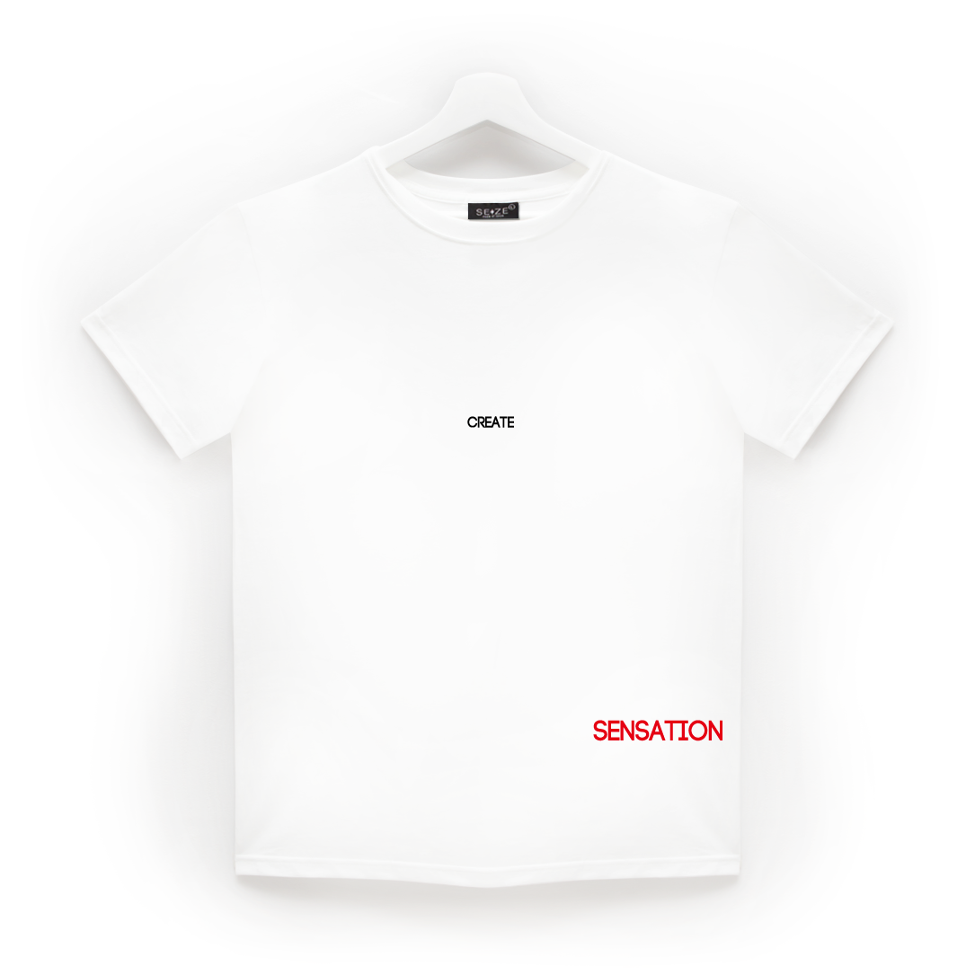 ST100 Create